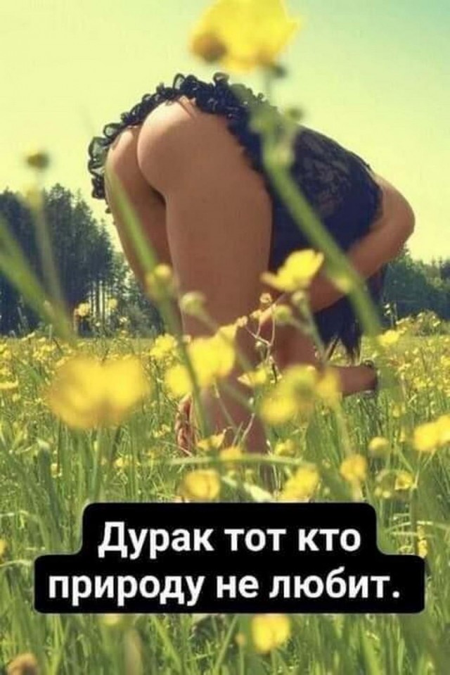 Отовсюду обо всем