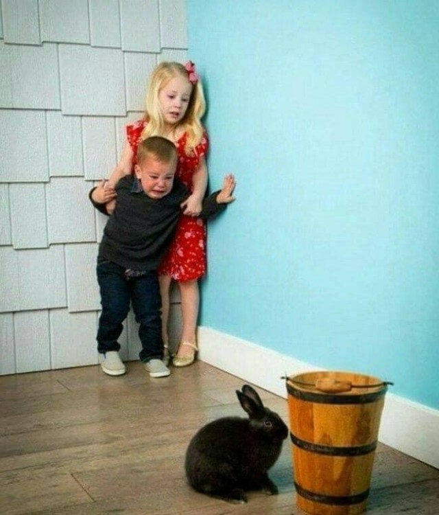 Субботний неадэкват