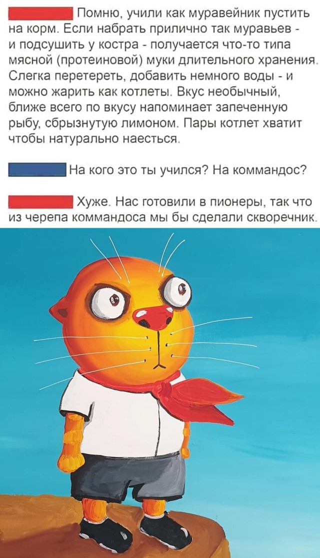 Немного картинок для настроения 06.11.20