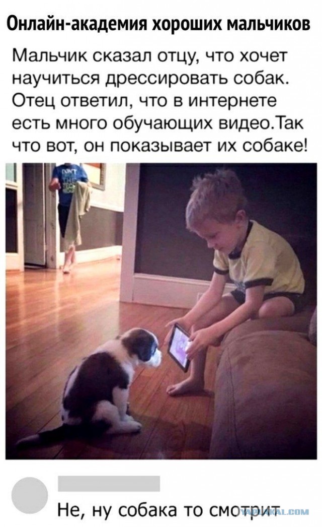 Это катастрофа