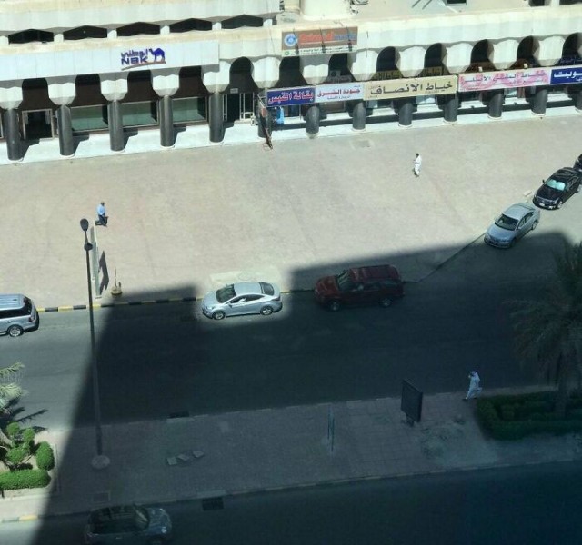 19 идеальных фотографий, на которых всё сошлось как надо и это совершенство 200 уровня