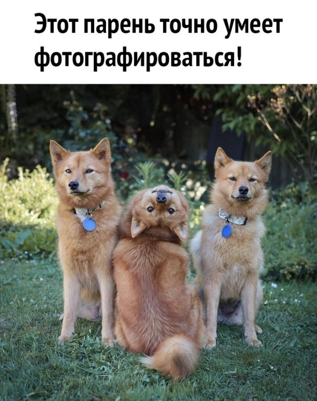 Картинки с надписями и всякие жизненные фразы 30.12.2020