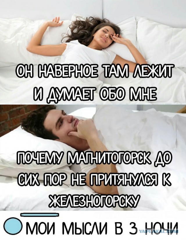 Весёлый полтишок 11.03