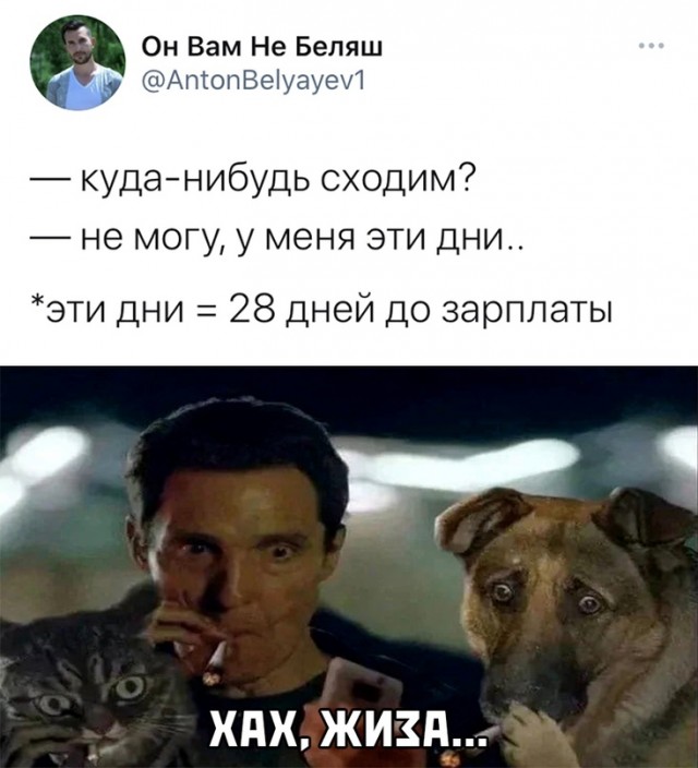 Весёлый полтишок 16.05