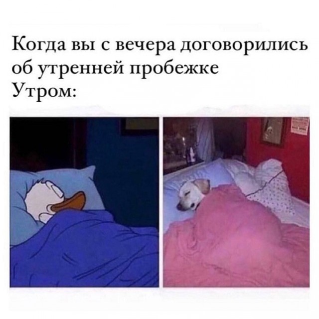 35 картинок разных 09.07.2021