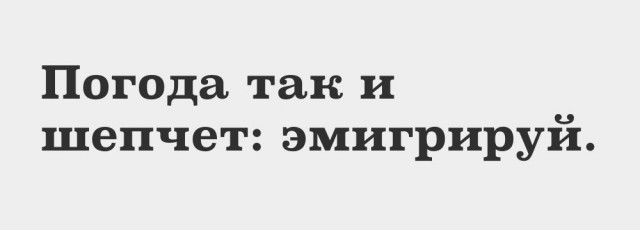 Чуток картинок 23.10.21