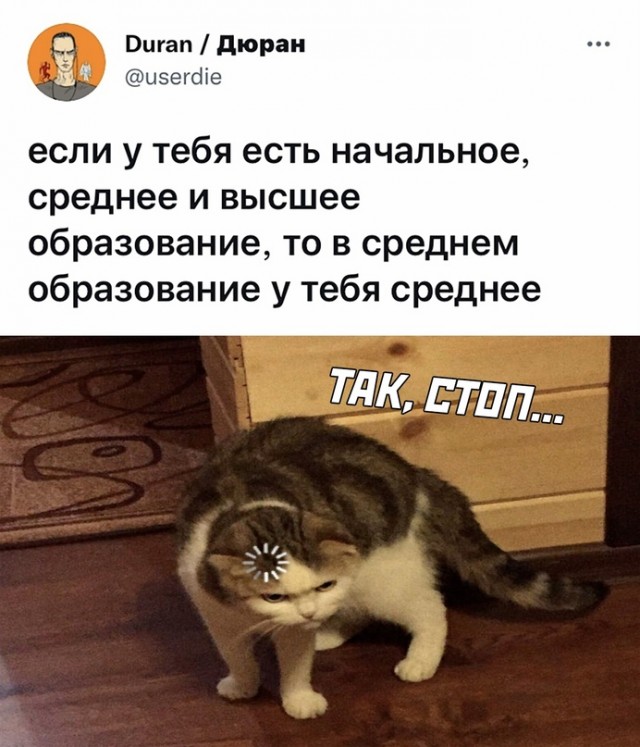 Весёлый полтишок 11.11