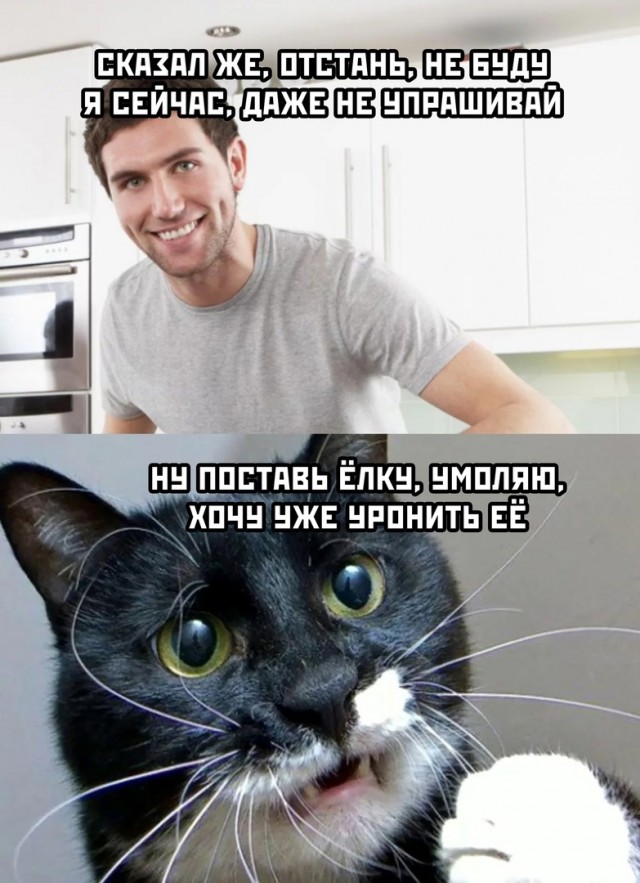 Так себе картинки 23.11.21