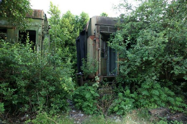 Абхазия. 17 лет после войны