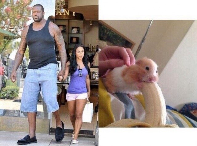 Подеградируем, побаяним... ч.2