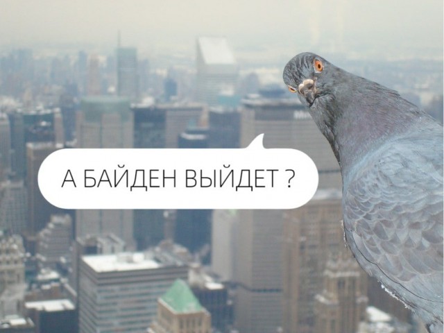 В сети начинают видеожабить "потерянного Байдена"