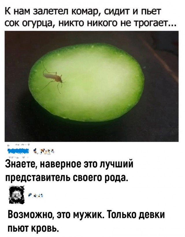 Так себе картинки 10.05.22