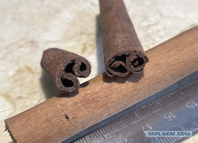 #ДРЯПнем 2022! БАХАРАТ.