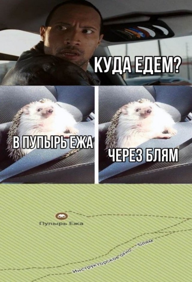 Так себе картинки 25.05.22