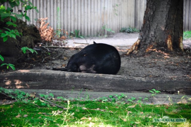 Мой Евротур