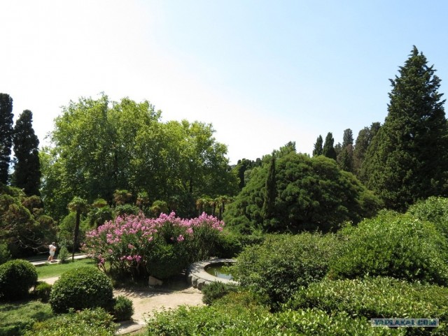 Южный берег Крыма