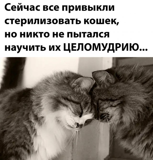 Немного картинок для настроения - 125