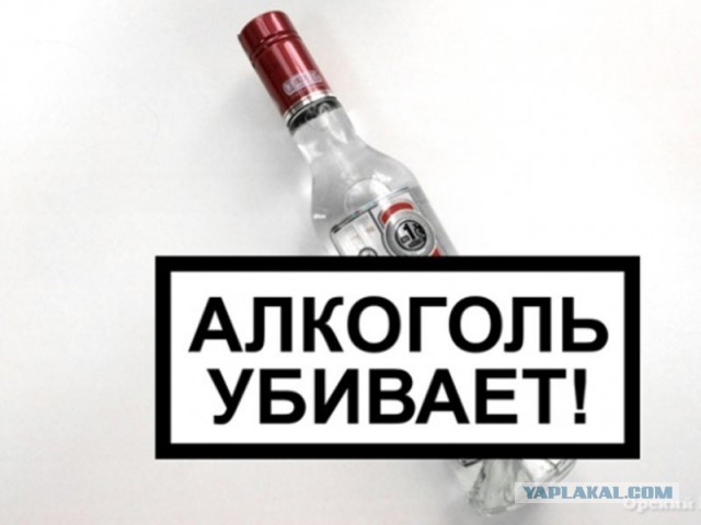 В Белгородской области пьяный мужчина случайно забрёл на позиции военнослужащих