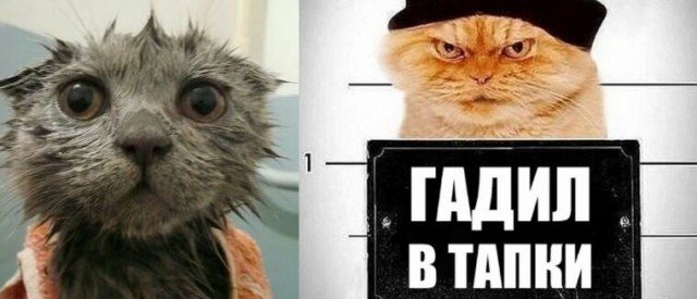 Новый 2023 год от tubdoc62