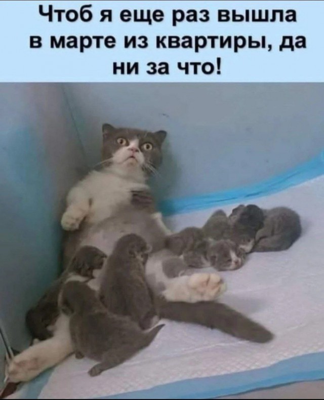 Победная поступь идиотизма по планете – том 10