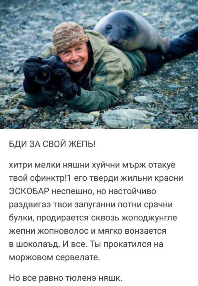 Уважаемые дамы, берегите *опы