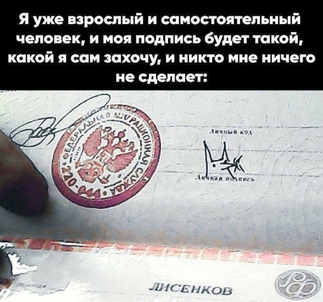 Так себе картинки 20.07.23