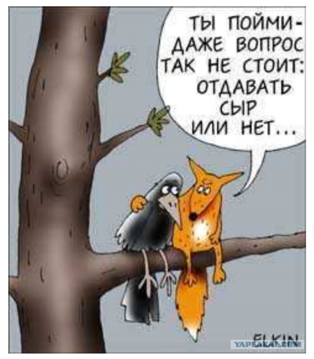 «Поражение Запада на украинском направлении неизбежно!»