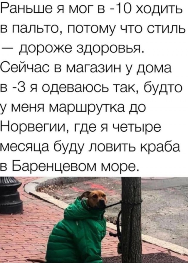 Так себе картинки 28.10.23