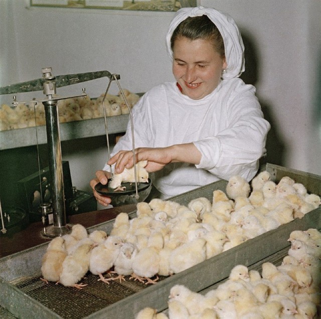 Фотографии из прошлого нашей страны - 40