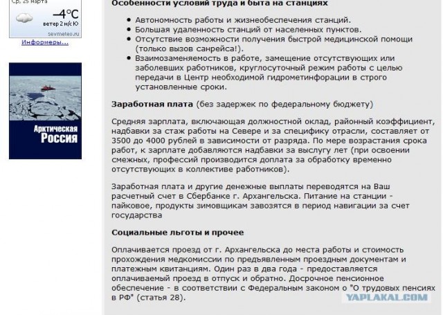 Анти лучшая работа в мире