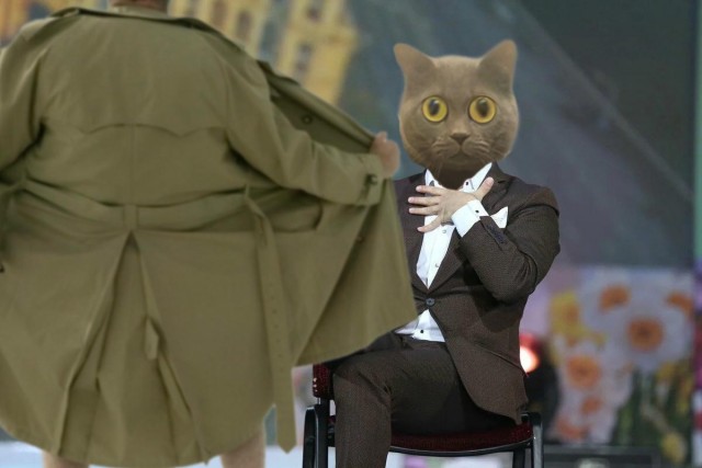 Сына котики