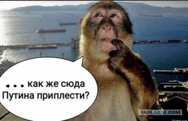 Почему на Кавказе запрещено общаться зятю со своей тёщей, а тёще приходить в дом к молодым?