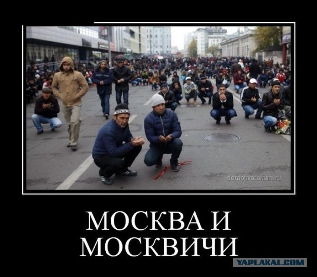 В домовых чатах в центре Москвы люди задают