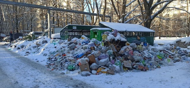 В Химках мусорный коллапс