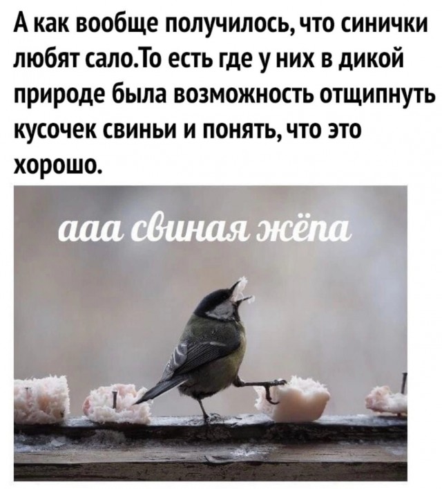 Так себе картинки 16.01.24