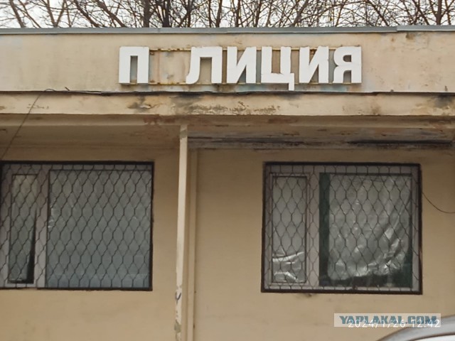 Перлы 04.02.24