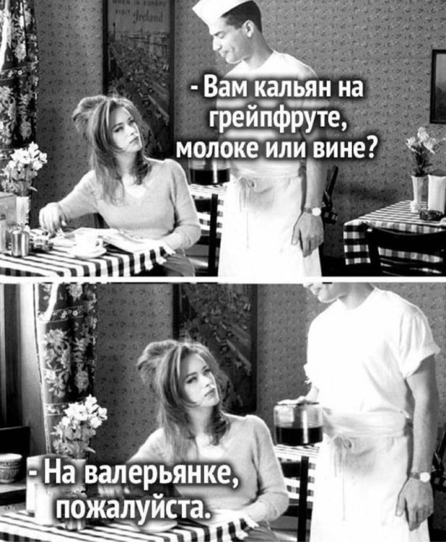 Так себе картинки 16.02.24