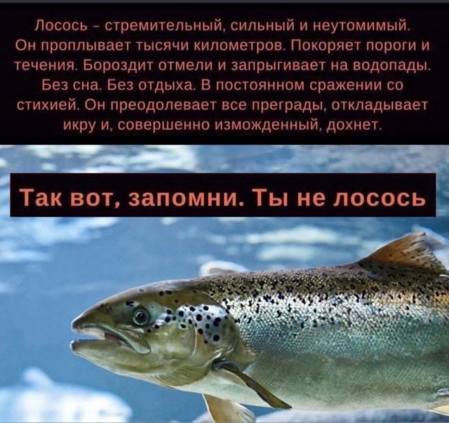 СМысли-7.