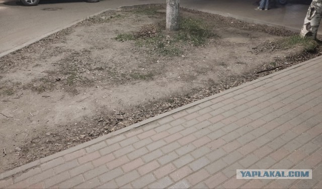 Народная тропа не зарастёт!