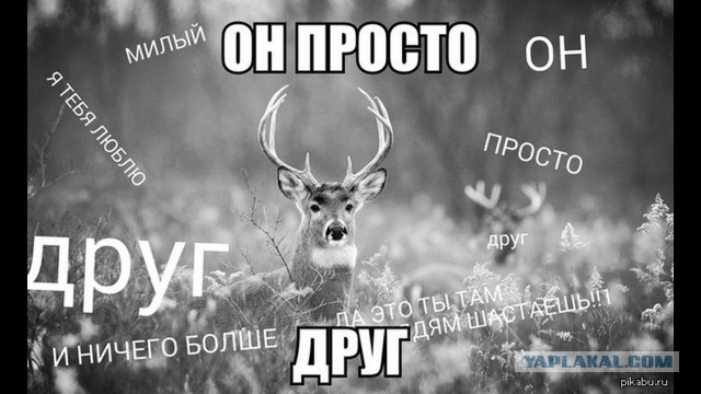 Как я жену на измене поймал