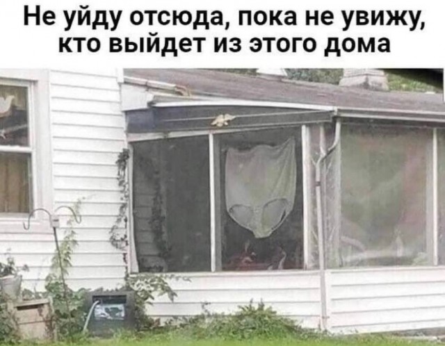 Веселые картинки к пятнице (12.07)