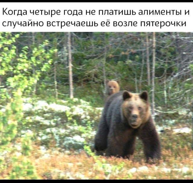 Картинки из мусорной корзины 14.07.24