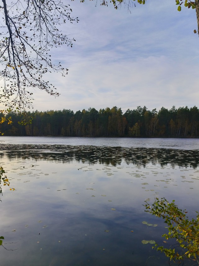 Осень на озёрах