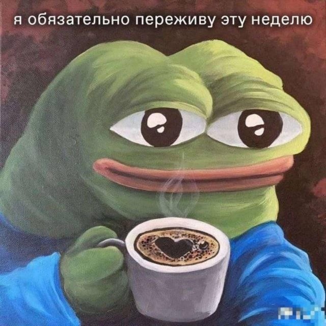 Нуштош 13.12.2024