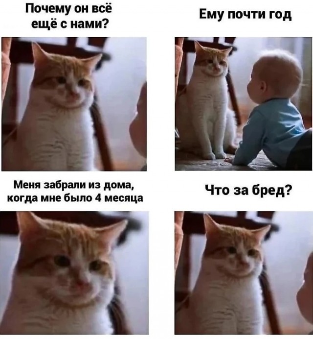 С меня картинки