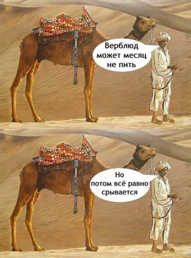 Завалялось тут случайно немного забавных картинок