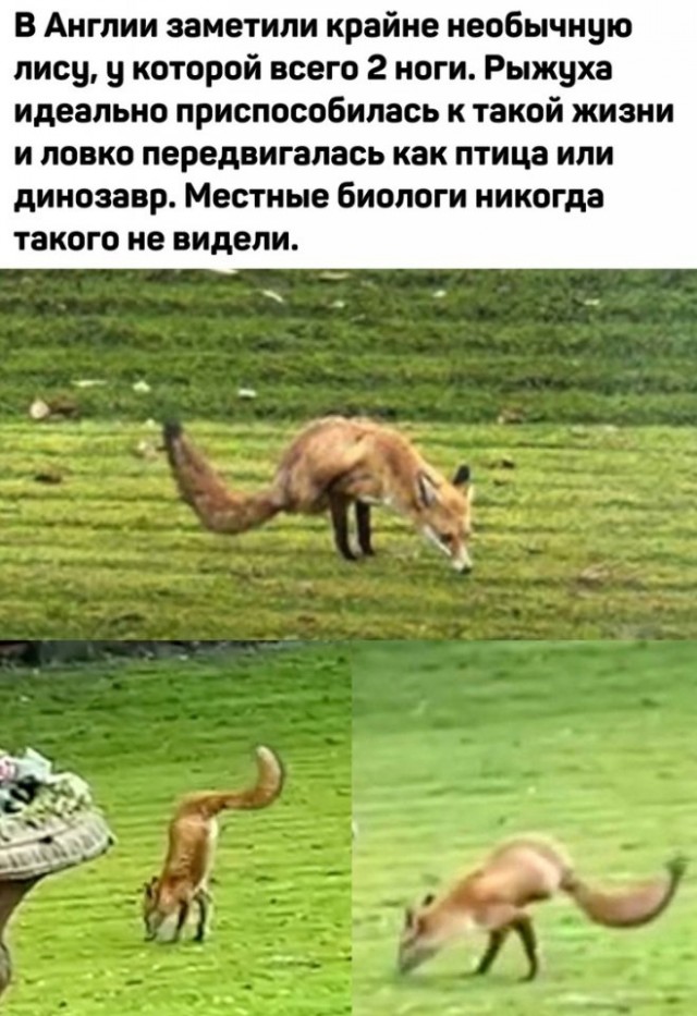 Так себе картинки 17.05.25