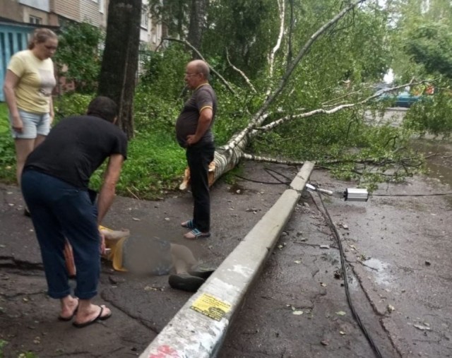 Ураган прошёлся по Ярославлю. Девятилетнему мальчику упавшее дерево сломало голень