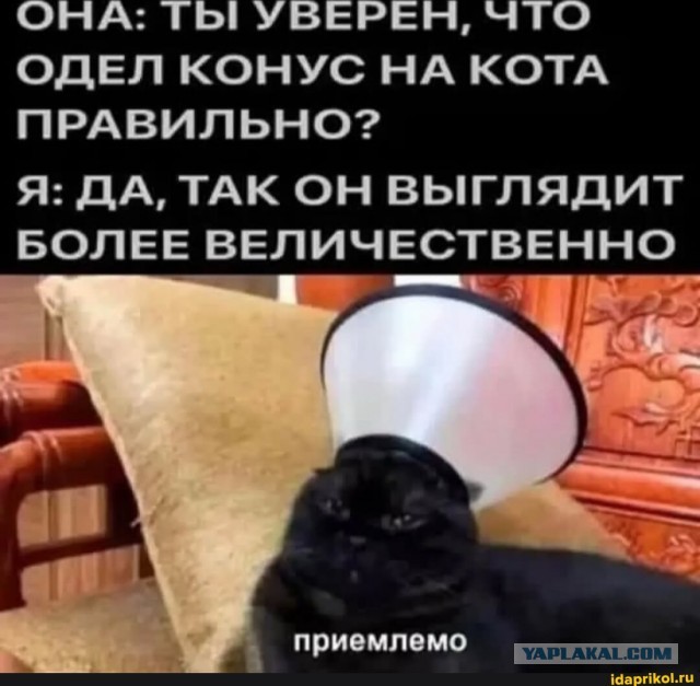 Картинки для деградации 28 (разной степени свежести)