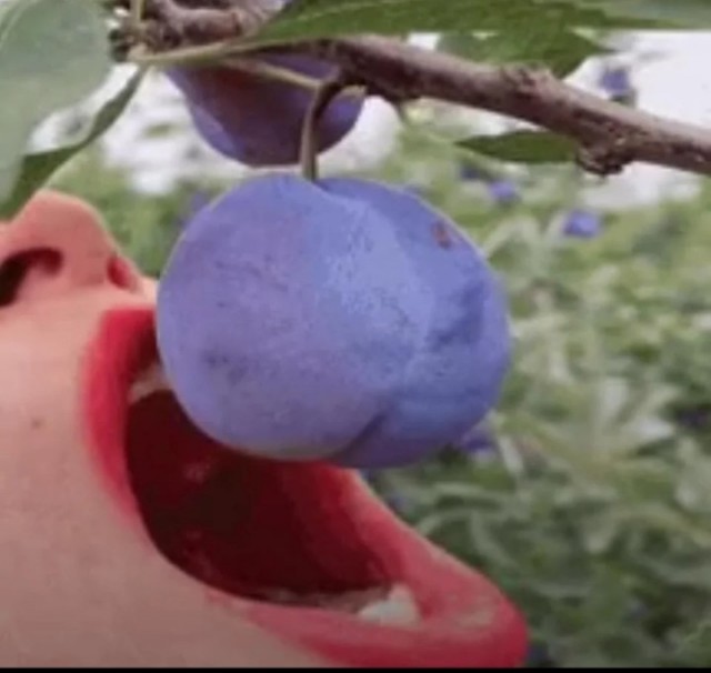 Всякой хренотени